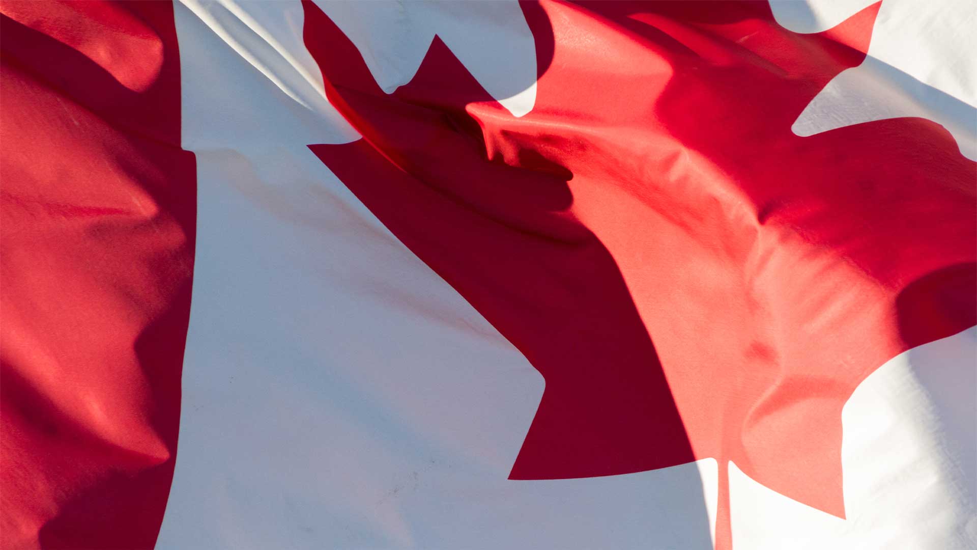 Statement from Conservative Leader Pierre Poilievre on la Fête Nationale du Québec